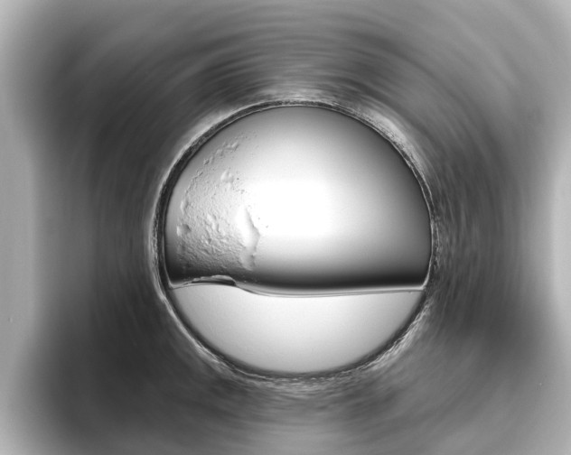 X0000096471141200801241133