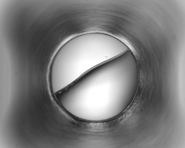 X0000096471142200801241133