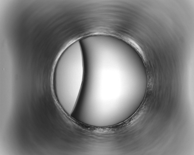 X0000096471146200801241133