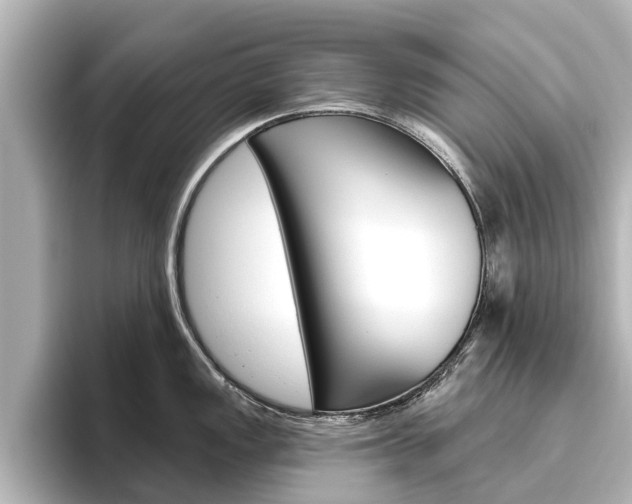 X0000096471149200801241133