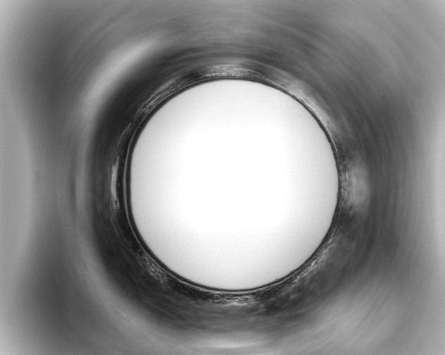 X0000096471150200801241133