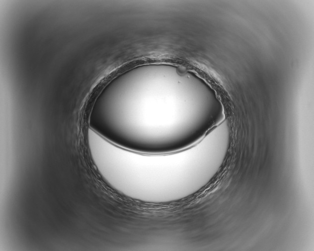 X0000096471160200801241132