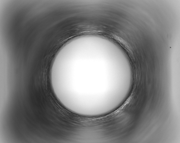 X0000096471161200801241132
