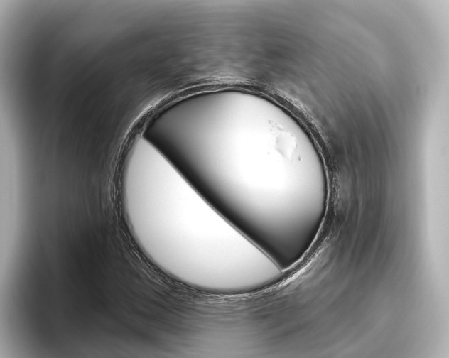 X0000096471163200801241132