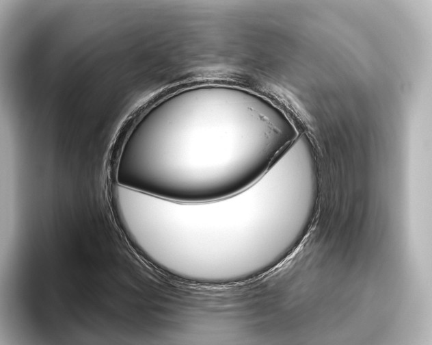 X0000096471164200801241132