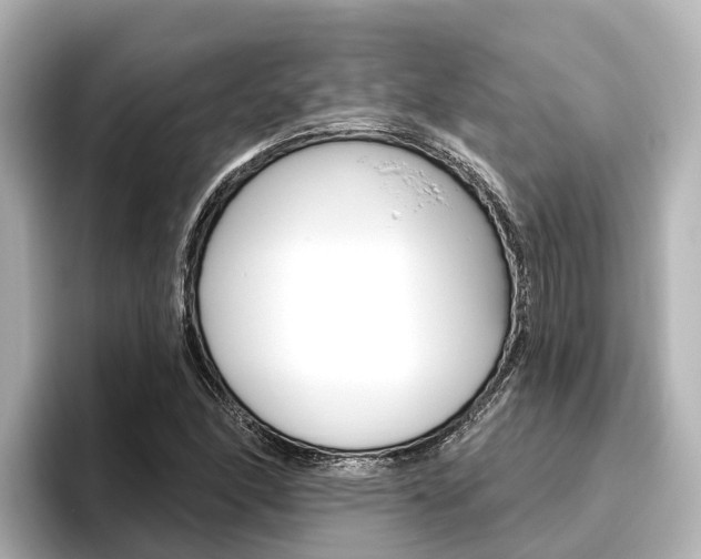 X0000096471166200801241132