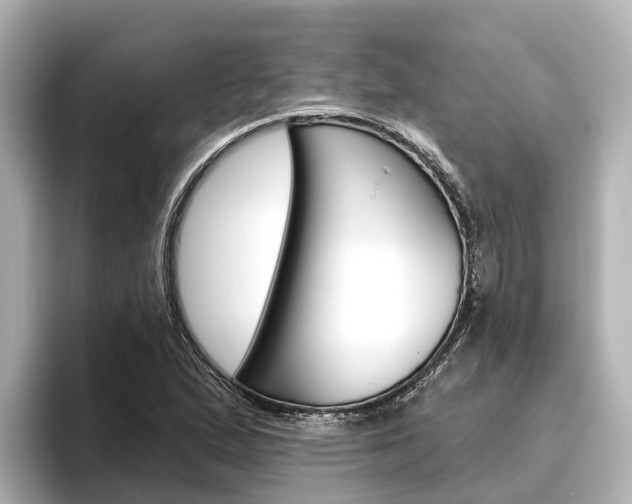 X0000096471167200801241132