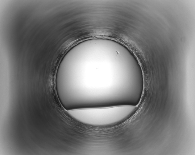 X0000096471169200801241132