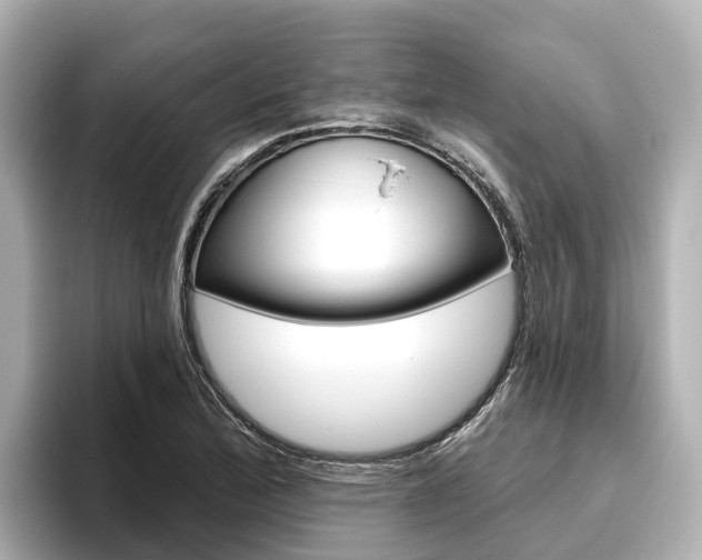 X0000096471172200801241132