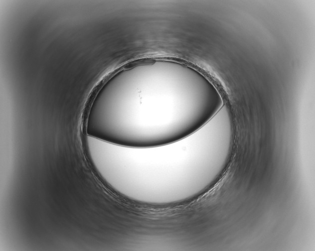 X0000096471173200801241132