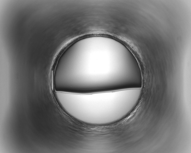 X0000096471175200801241132