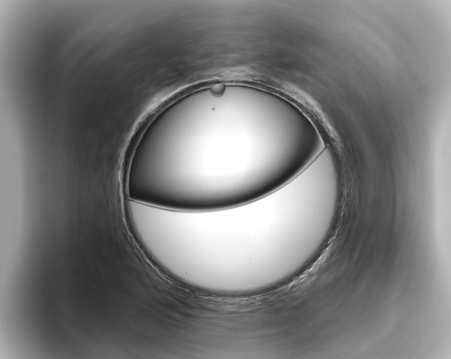 X0000096471176200801241132