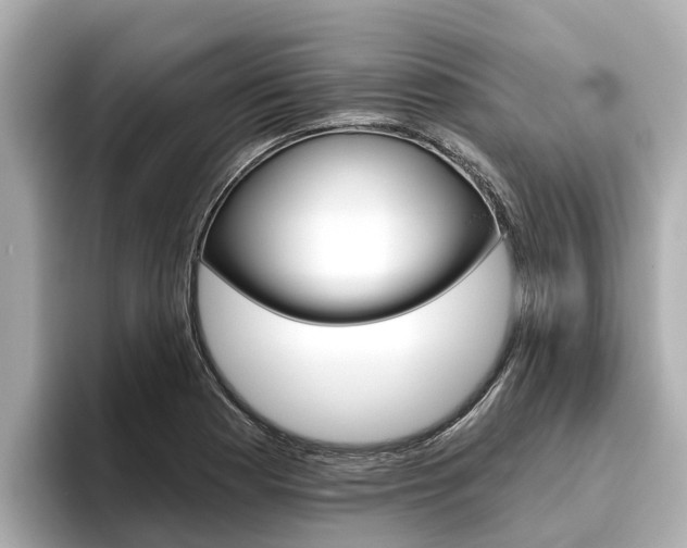 X0000096471177200801241132