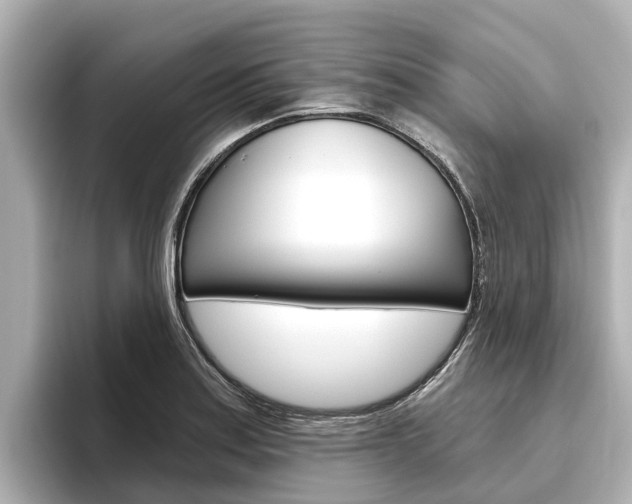 X0000096471179200801241132