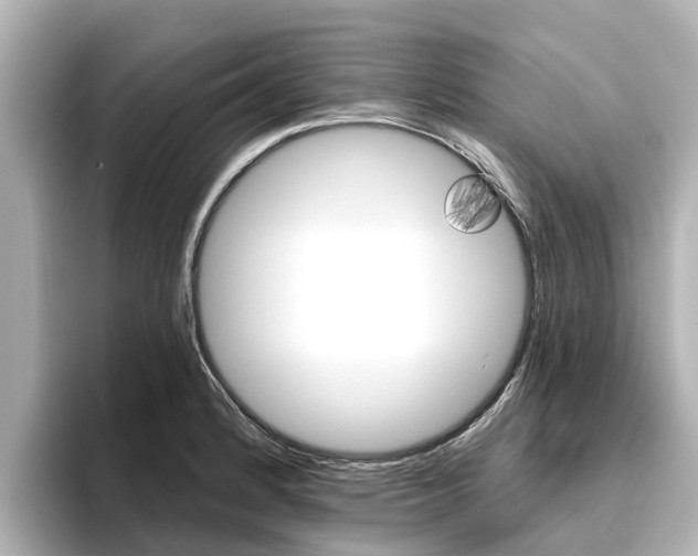 X0000096471184200801241132