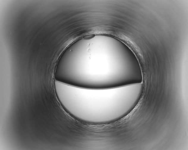 X0000096471185200801241132