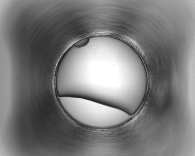 X0000096471186200801241132