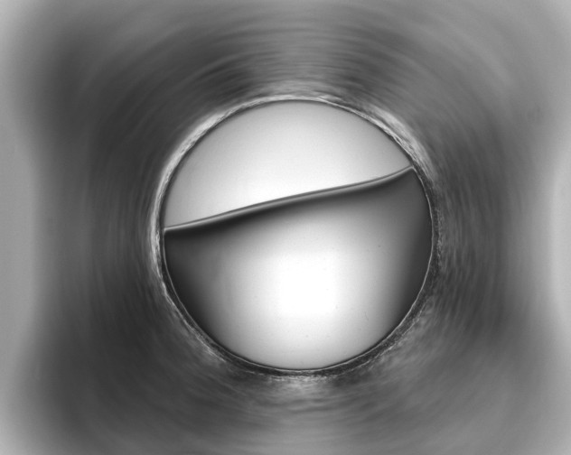 X0000096471188200801241132
