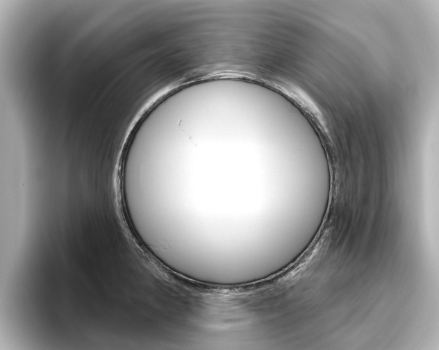X0000096471190200801241132