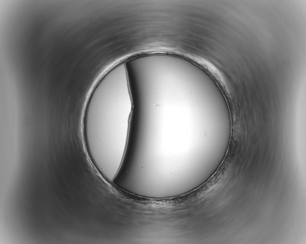 X0000096471191200801241132