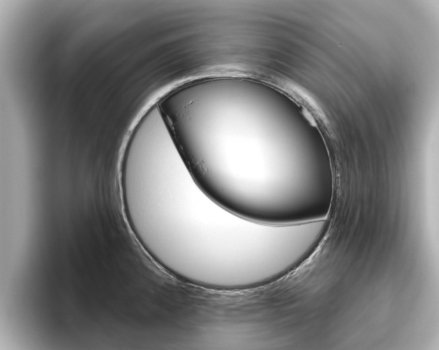 X0000096471192200801241132