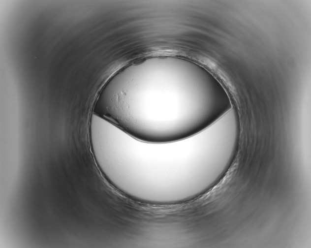 X0000096471193200801241132
