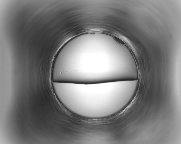 X0000096471194200801241132