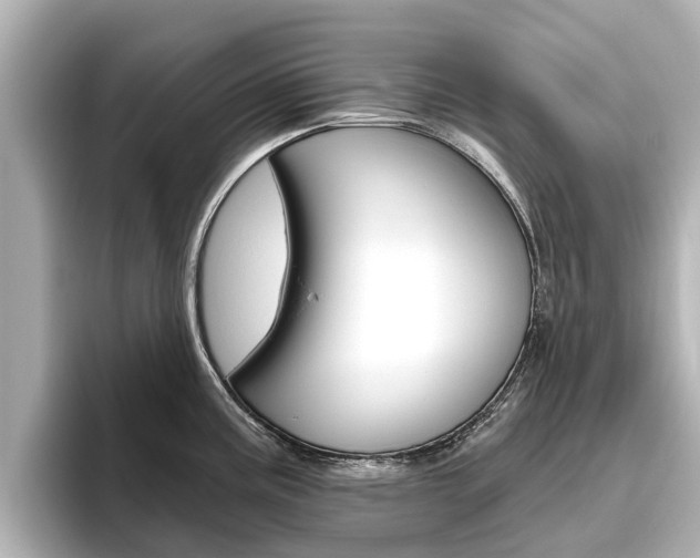 X0000096471195200801241132