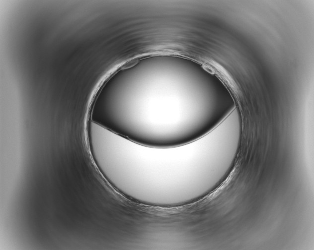 X0000096471196200801241132