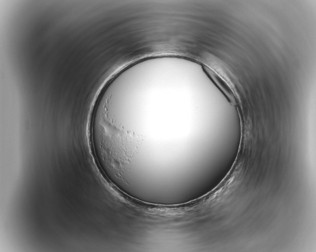 X0000096471197200801241132