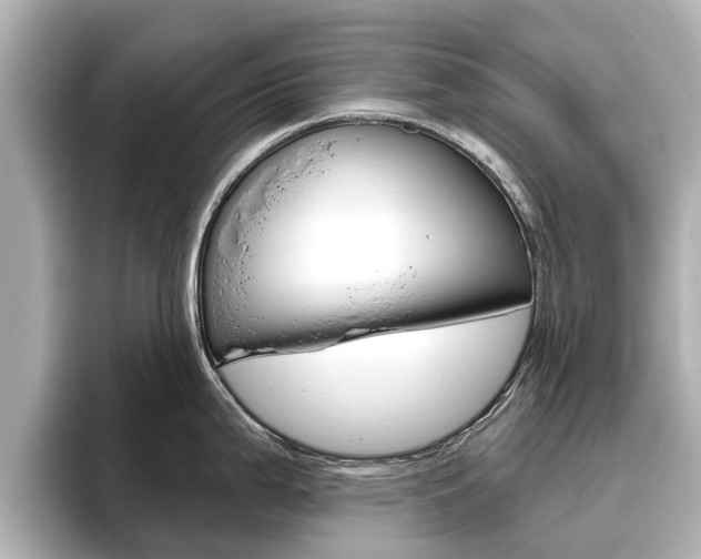 X0000096471199200801241132