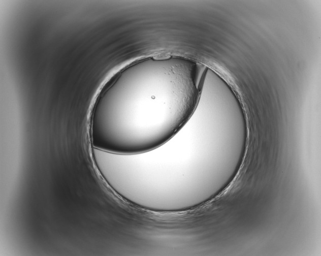 X0000096471200200801241132
