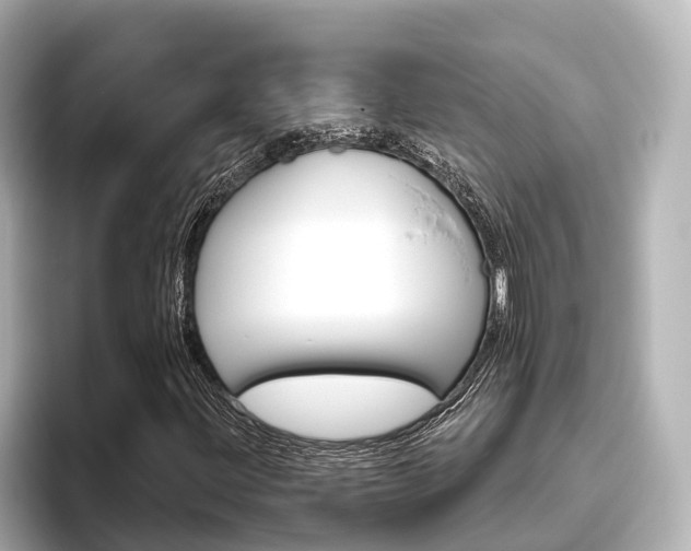 X0000096471203200801241131