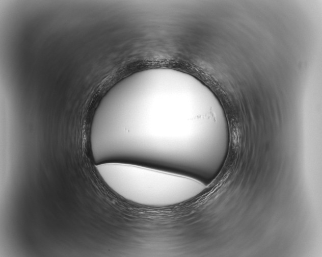 X0000096471204200801241131