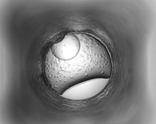X0000096471205200801241131