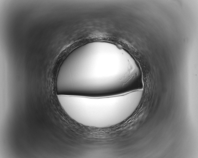 X0000096471206200801241131