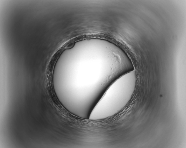 X0000096471208200801241131