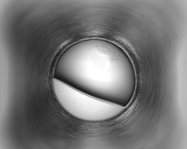 X0000096471210200801241131