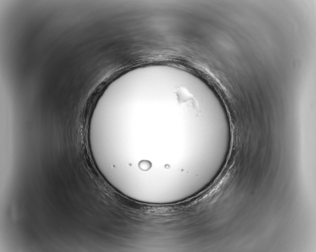 X0000096471211200801241131