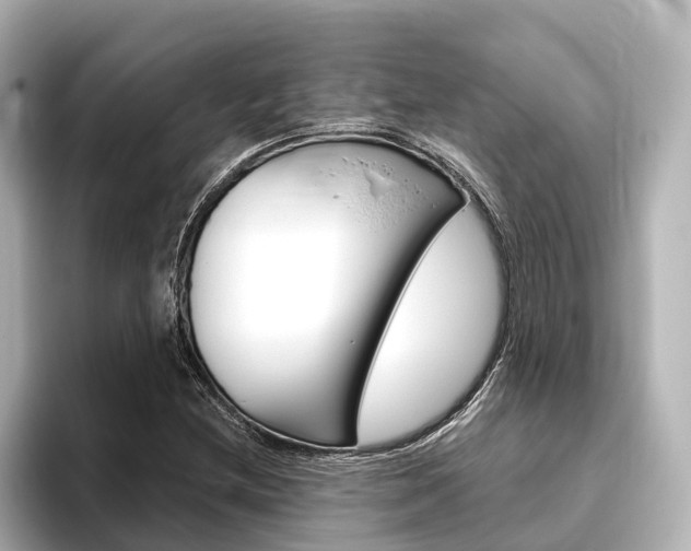 X0000096471212200801241131