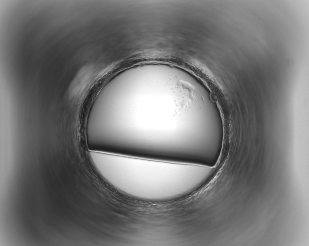X0000096471213200801241131