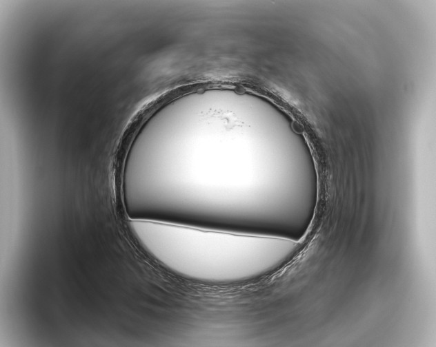 X0000096471214200801241131