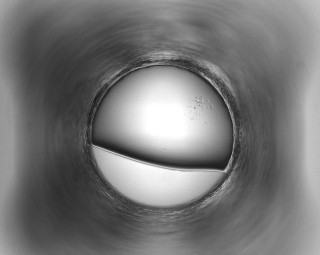 X0000096471217200801241131