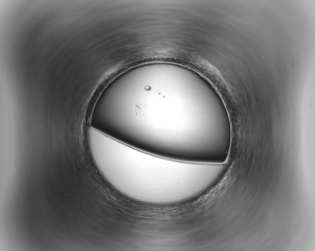 X0000096471218200801241131