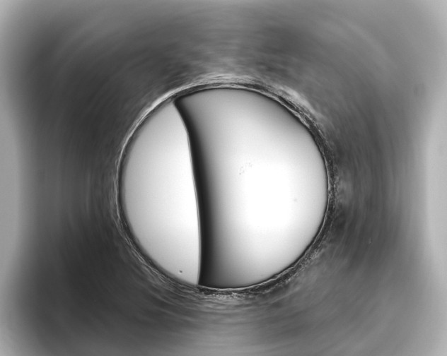 X0000096471220200801241131