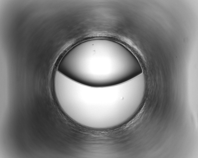 X0000096471221200801241131