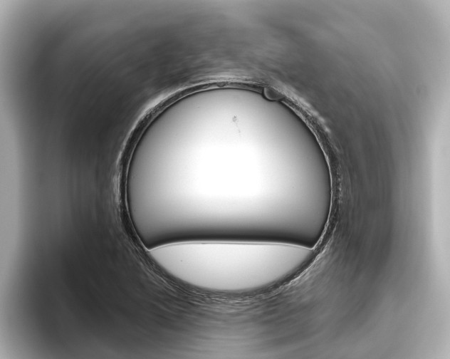 X0000096471222200801241131
