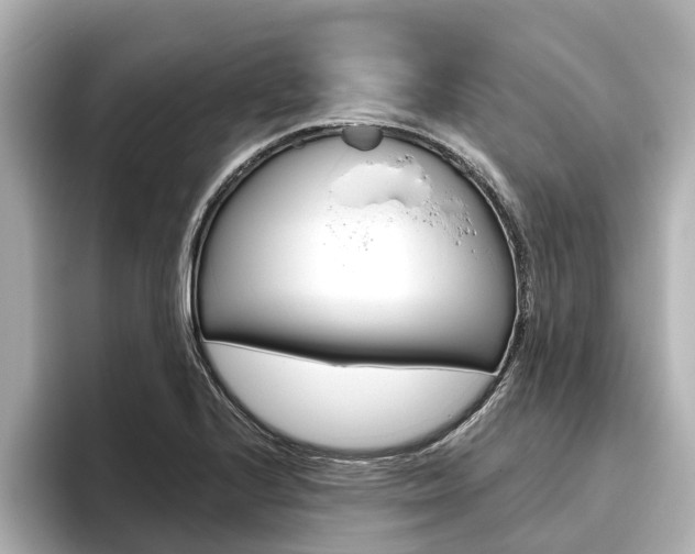 X0000096471224200801241131