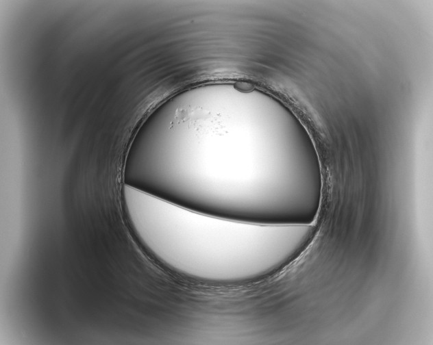 X0000096471225200801241131