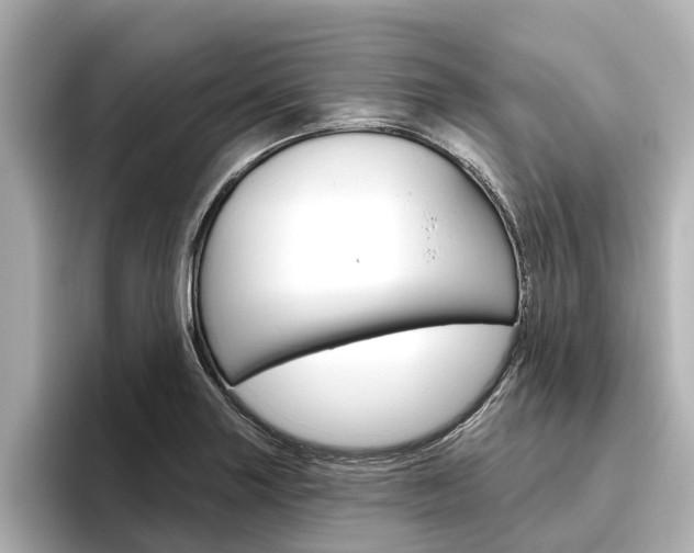 X0000096471227200801241131